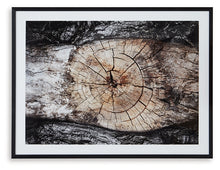Load image into Gallery viewer, Freyburn Wall Art
